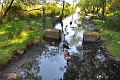 brownsea island,brownsea islan